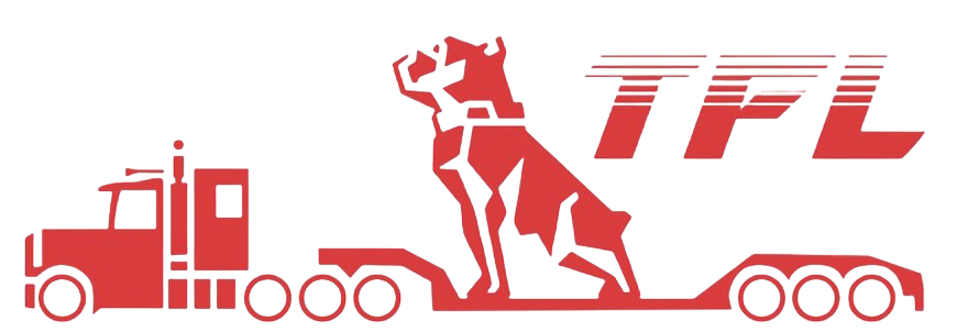 https://www.3mt.cl/wp-content/uploads/2026/01/LOGO-FESAVI.png