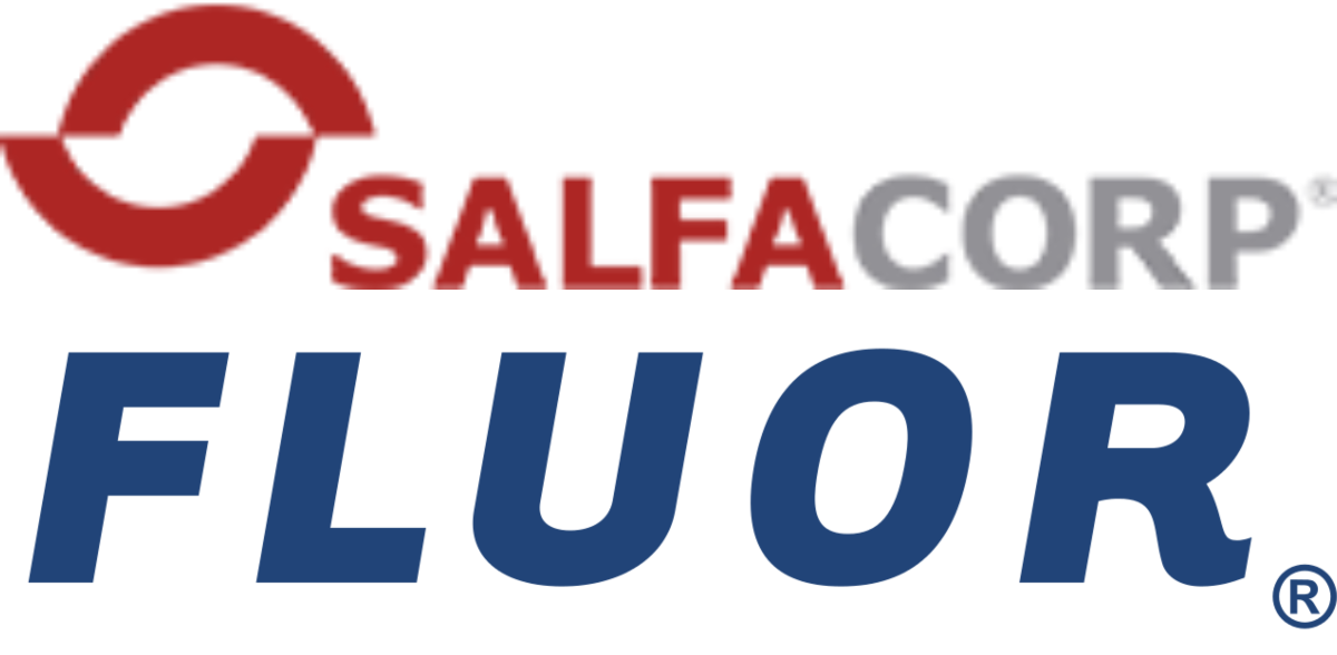 https://www.3mt.cl/wp-content/uploads/2026/01/logo-fluor-salfa.png